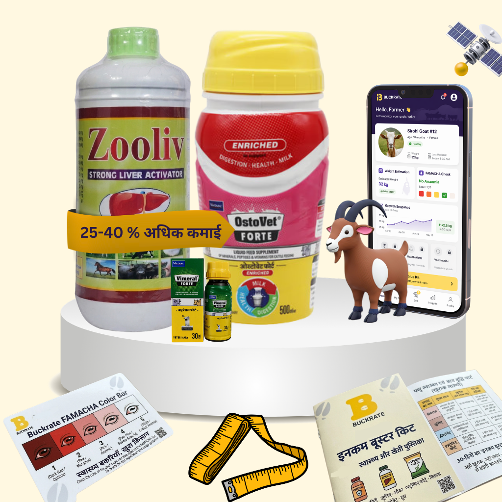 Income Booster 40 Kit