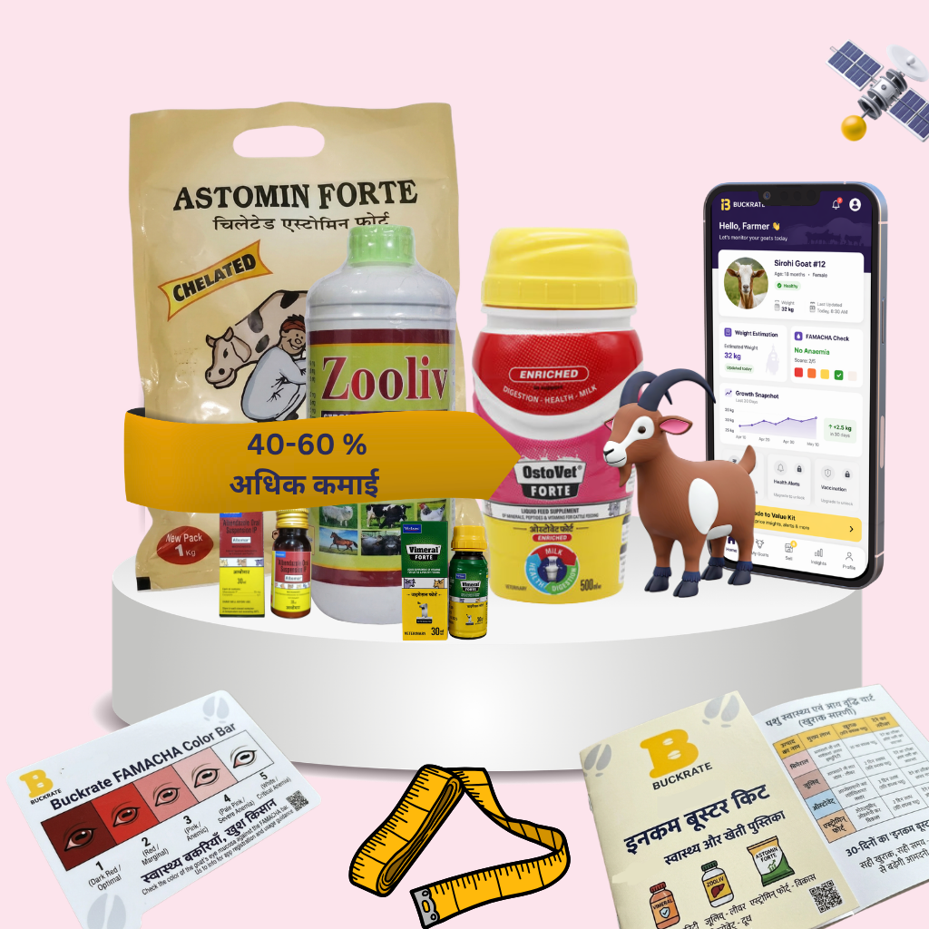 Income Booster 60 Kit