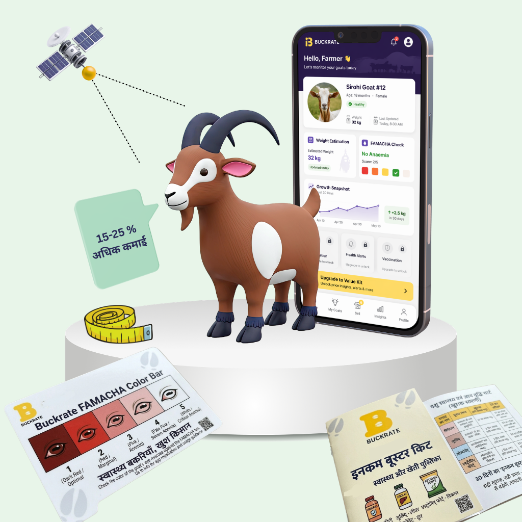 Income Booster 20 Kit